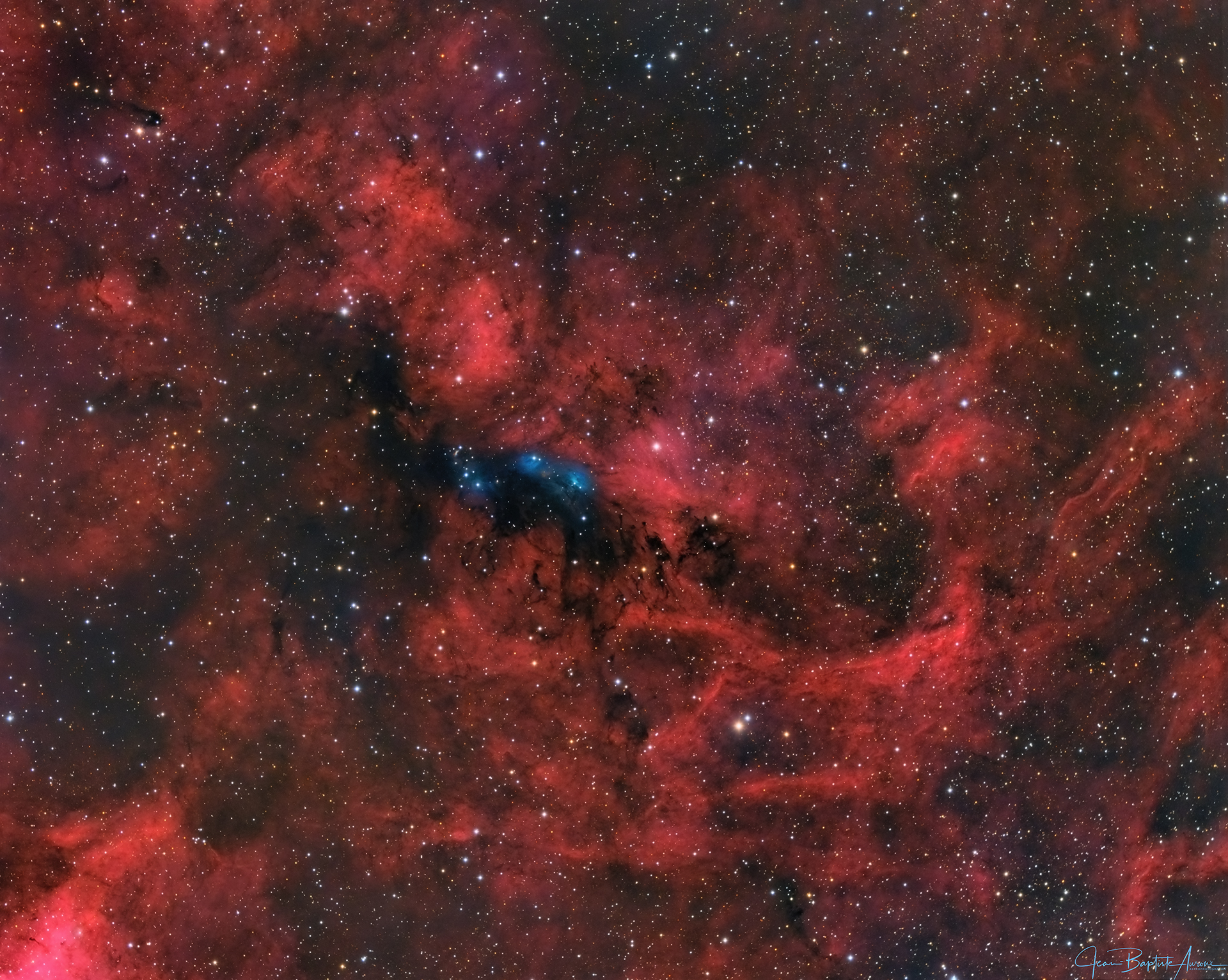 NGC 6914 : nébuleuses en émission et en réflexion dans le Cygne