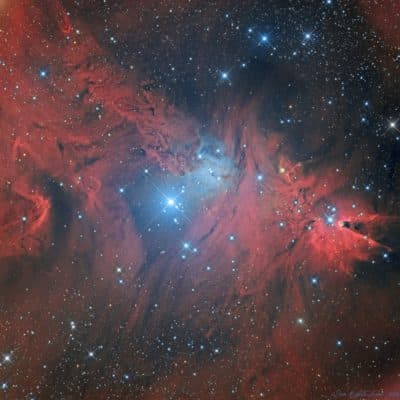 Région de NGC 2264 (nébuleuses « Fox Fur » et du Cône)