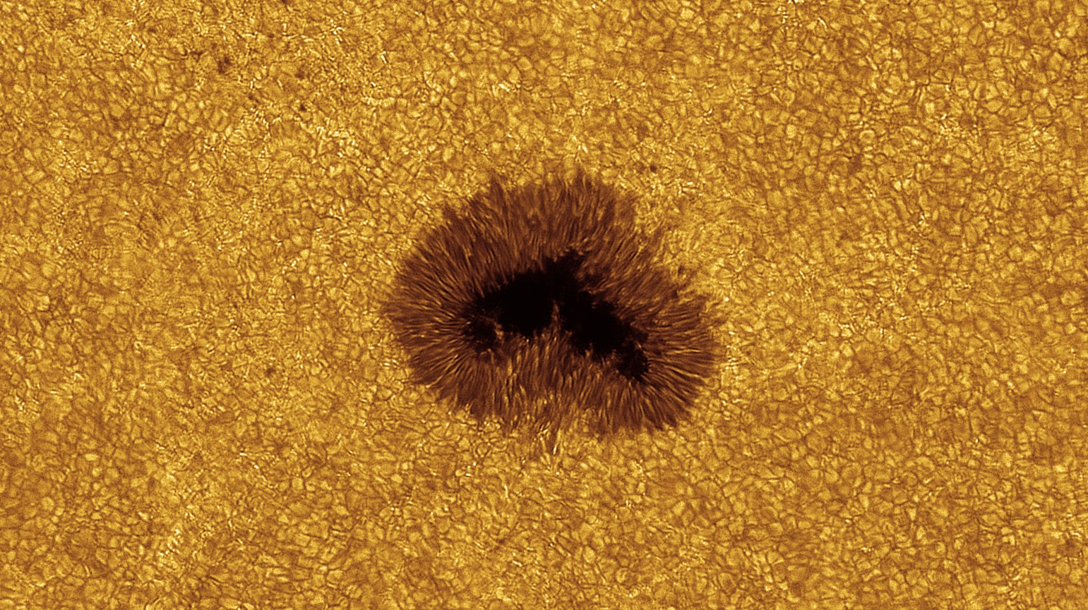 Taches, granulation, "bright spots" et "filigrees" dans la photosphère solaire en haute résolution, par David "Shaihulud" Dominé