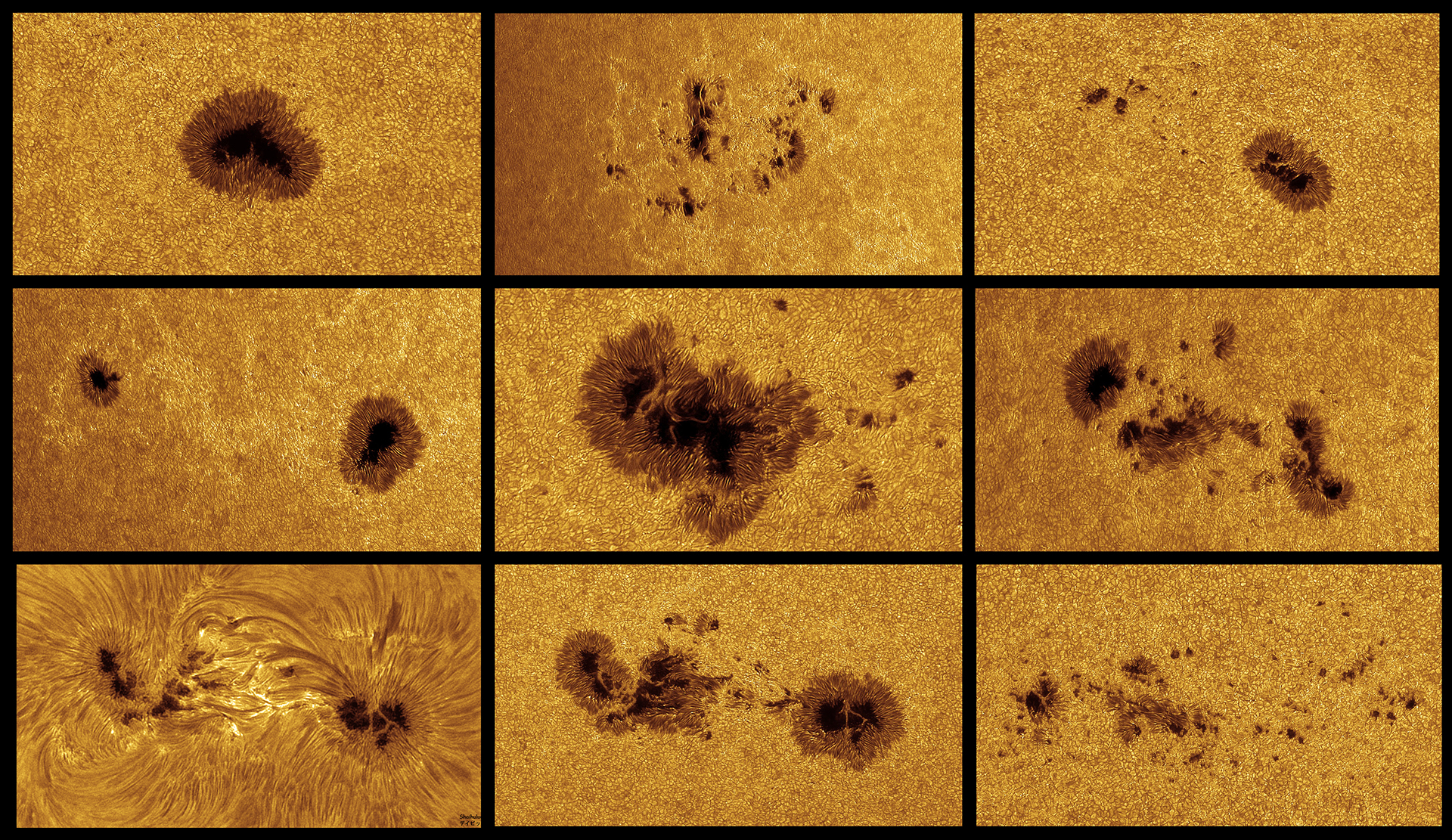 Juillet 2023 - Taches, granulation, "bright spots" et "filigrees" dans la photosphère solaire en haute résolution, par David "Shaihulud" Dominé