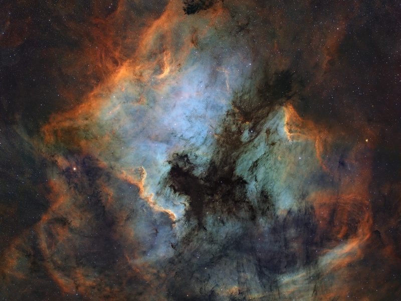 Les nébuleuses "America" et du "Pélican"